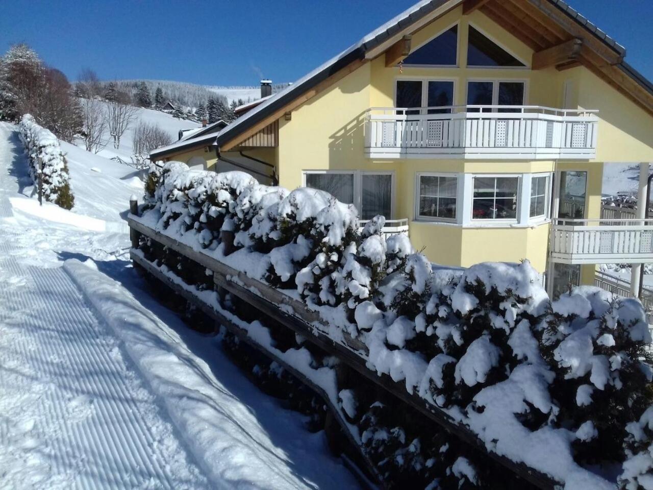 "Schwarzwaldblick" Ferienwohnung 2-4 Pers 65Qm, Schoene Ruhige Suedhanglage Mit Herrl Aussicht Todtnau Zewnętrze zdjęcie